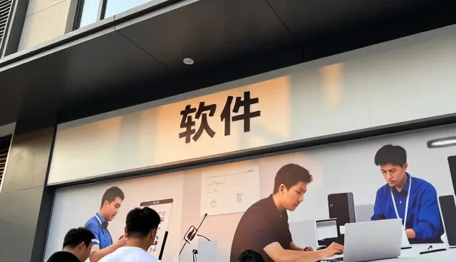 应用客户如何选择技术咨询